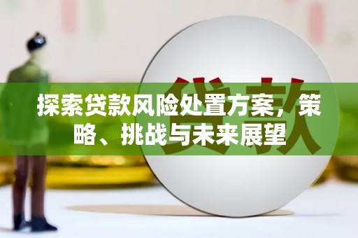新泰探索贷款风险处置方案，策略、挑战与未来展望