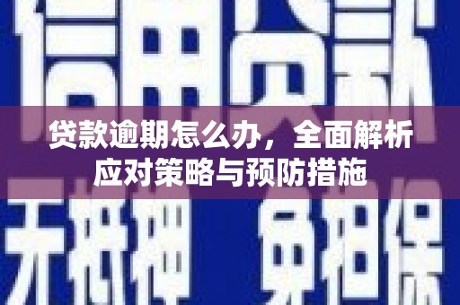学甲贷款逾期怎么办，全面解析应对策略与预防措施