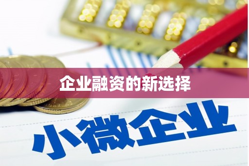 永新企业融资的新选择