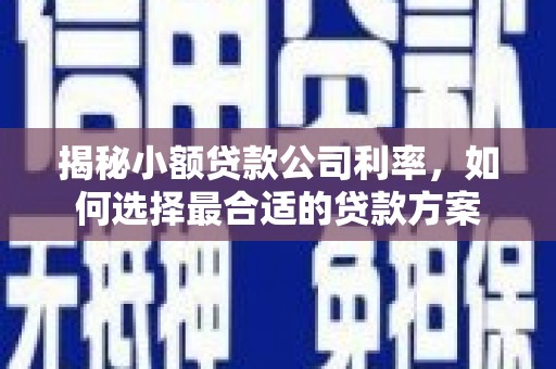 南屯揭秘小额贷款公司利率，如何选择最合适的贷款方案