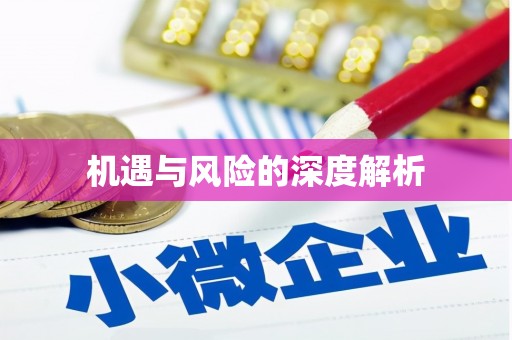 商州机遇与风险的深度解析