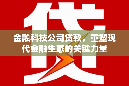 洛浦金融科技公司贷款，重塑现代金融生态的关键力量