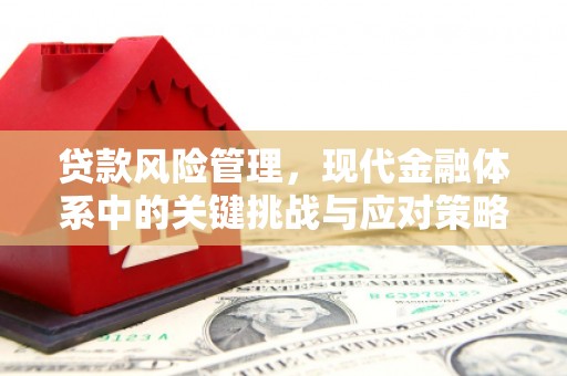 揭阳贷款风险管理，现代金融体系中的关键挑战与应对策略
