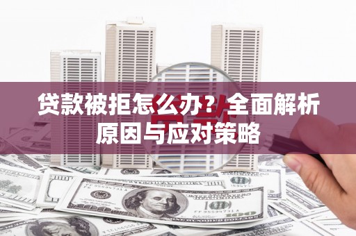 那玛夏贷款被拒怎么办？全面解析原因与应对策略