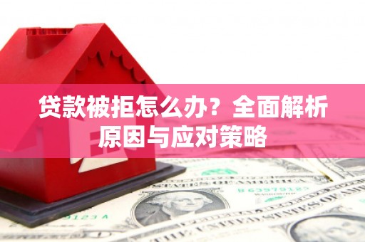 达仁贷款被拒怎么办？全面解析原因与应对策略