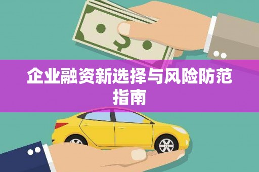 甘孜企业融资新选择与风险防范指南