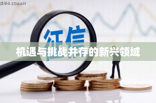 于田机遇与挑战并存的新兴领域