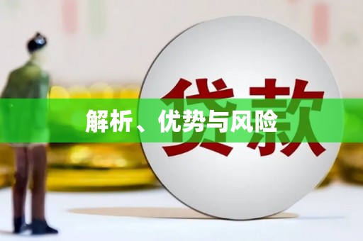 西夏解析、优势与风险