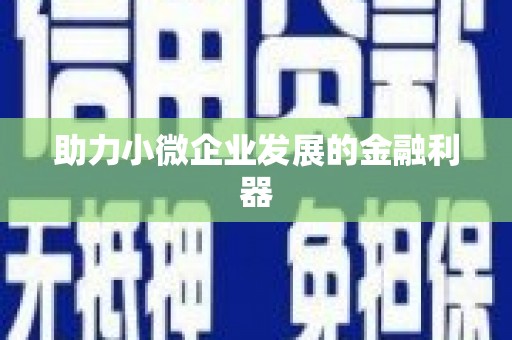 徐闻助力小微企业发展的金融利器