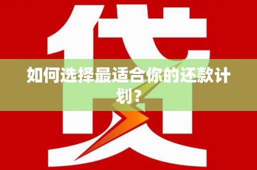 泸西如何选择最适合你的还款计划？