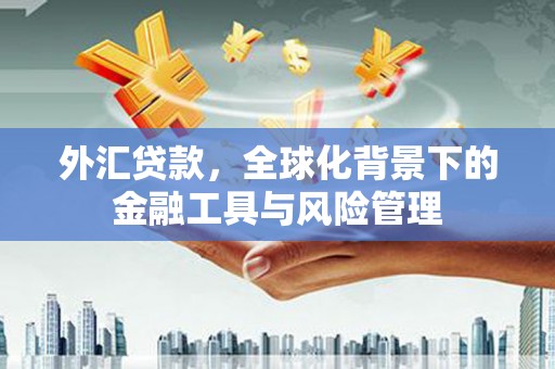 吉木萨尔外汇贷款，全球化背景下的金融工具与风险管理